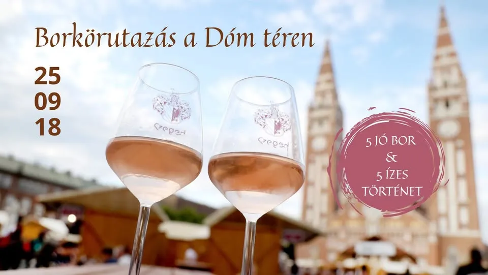 Borkörutazás a Dóm téren - 5 jó bor & 5 ízes történet